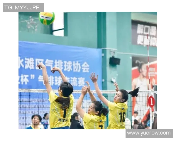 武汉排球队的力量变革引发热议展现团队精神与竞技魅力