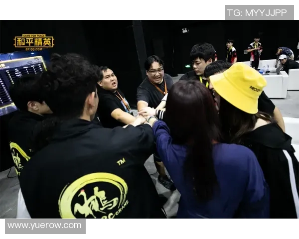 聚焦和平精英：探索WE战队如何在赛场上展现团队力量与合作精神