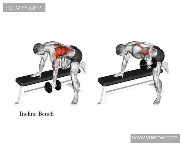 健身训练技巧全攻略：打造完美身材的秘诀分享