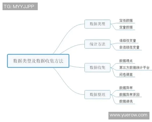 数据分析报告：全面解读V5在各项指标中的表现与趋势分析